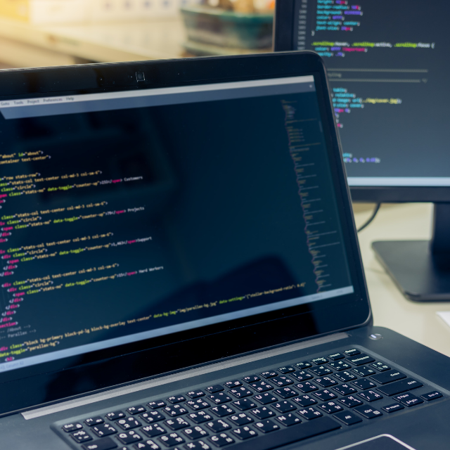 Software invoice Template