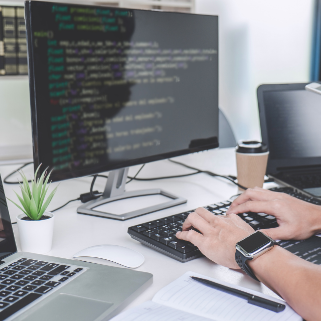 Software invoice